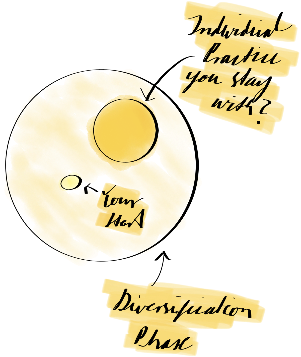 Diversifying your practice - exploring everything